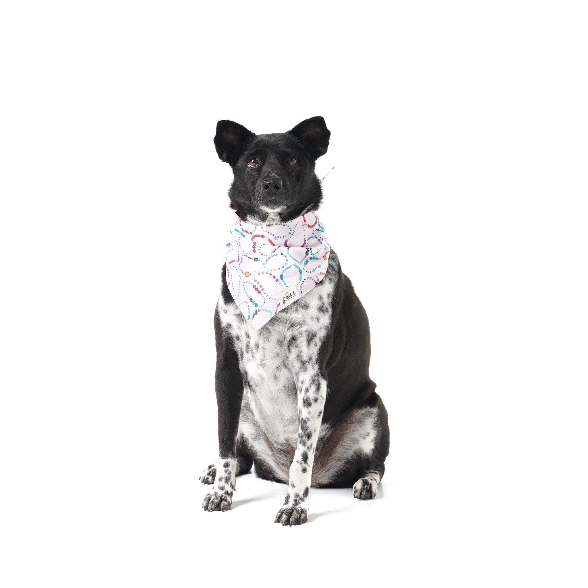 Bestie Friendship Bracelet Dog Bandana