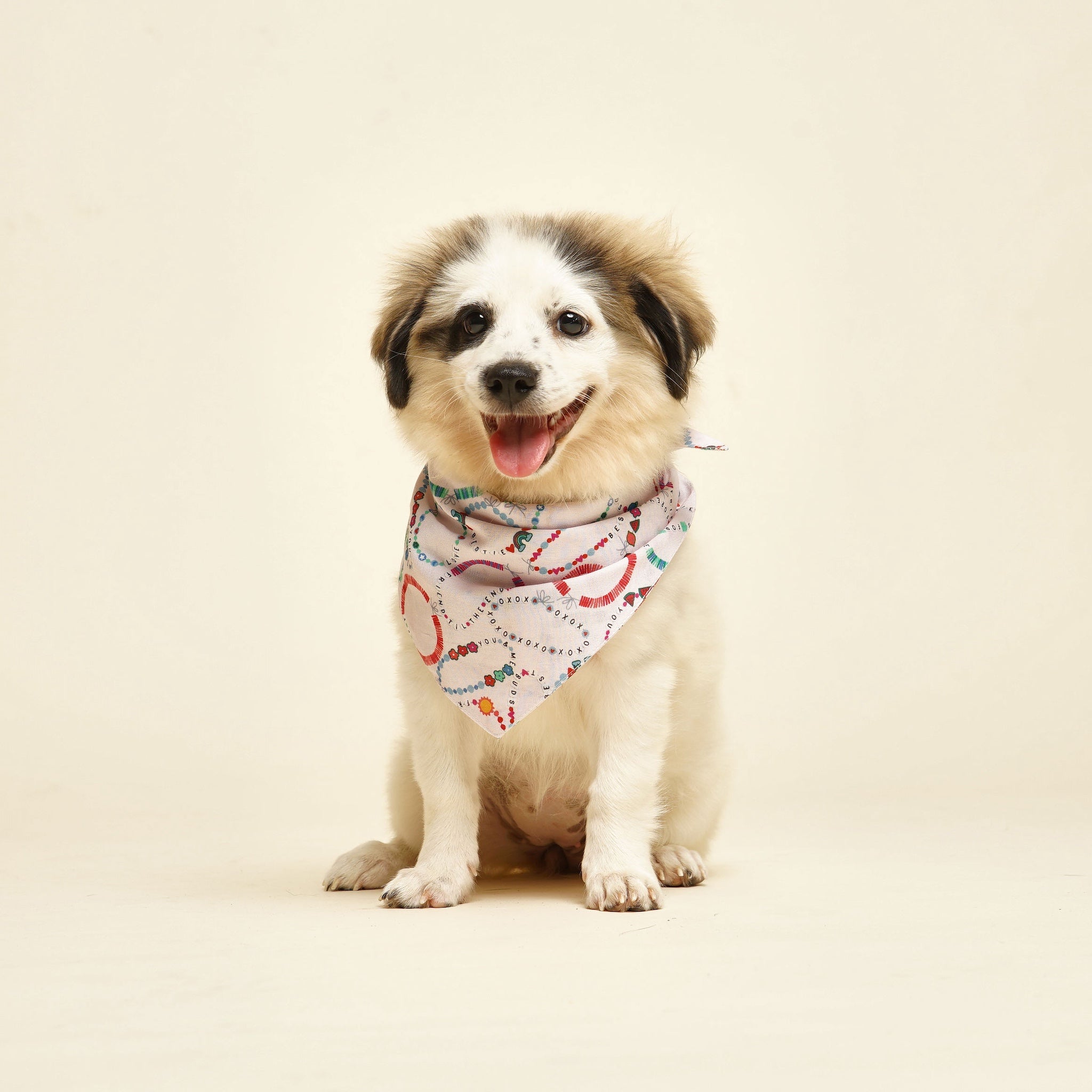 Bestie Friendship Bracelet Dog Bandana