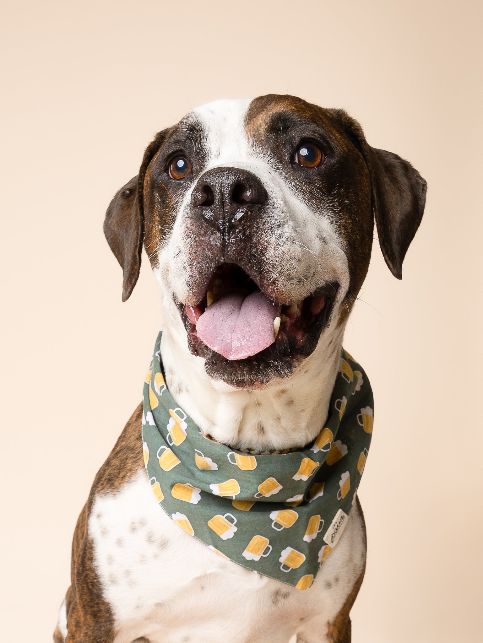 Brew Dog Bandana