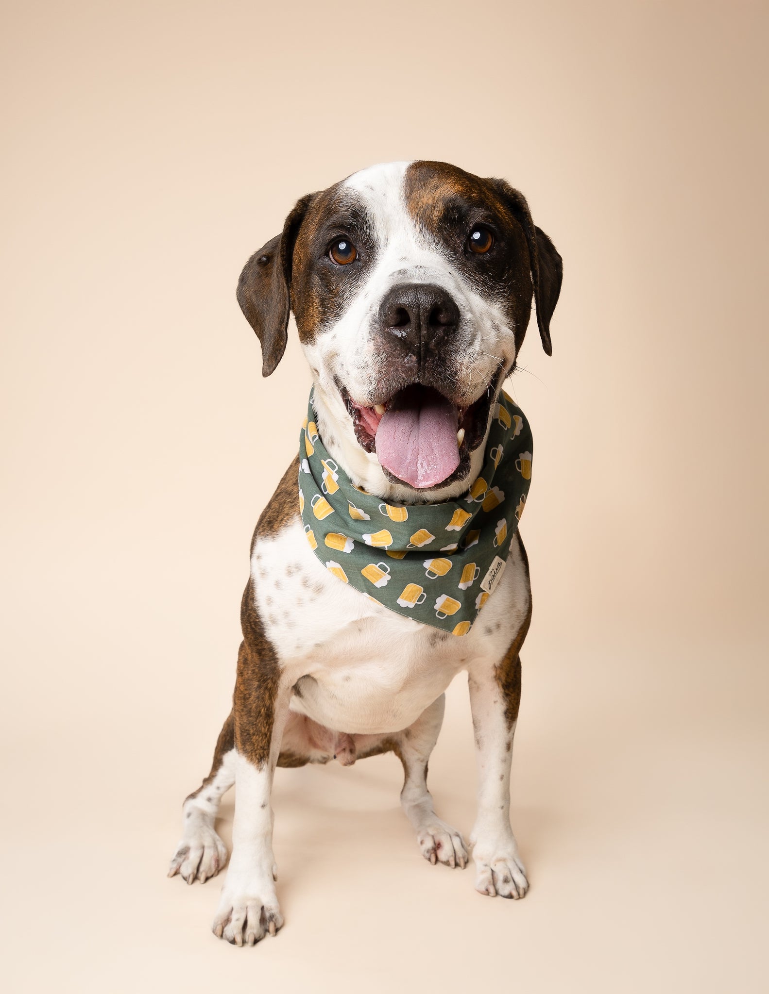 Brew Dog Bandana