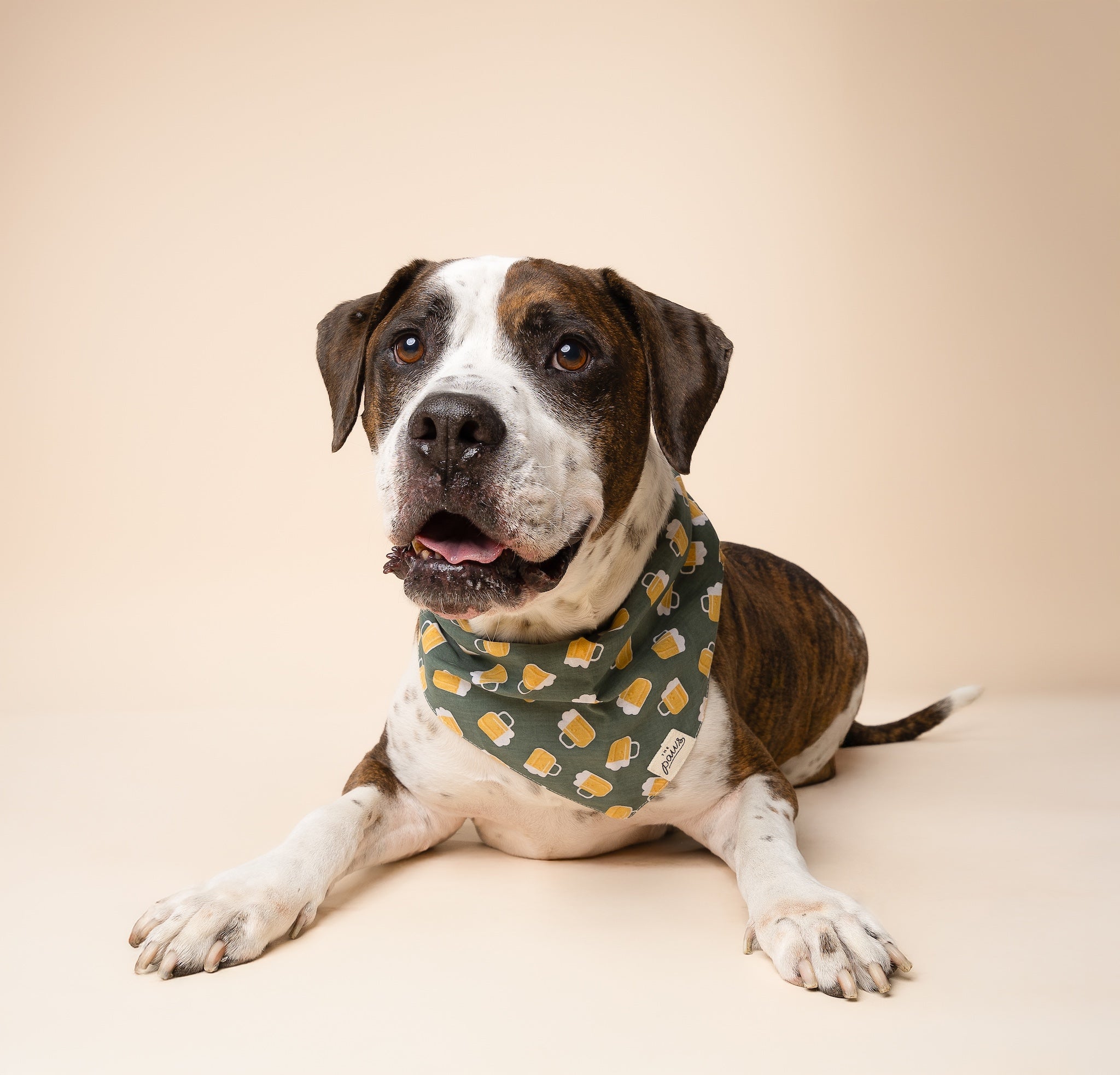 Brew Dog Bandana