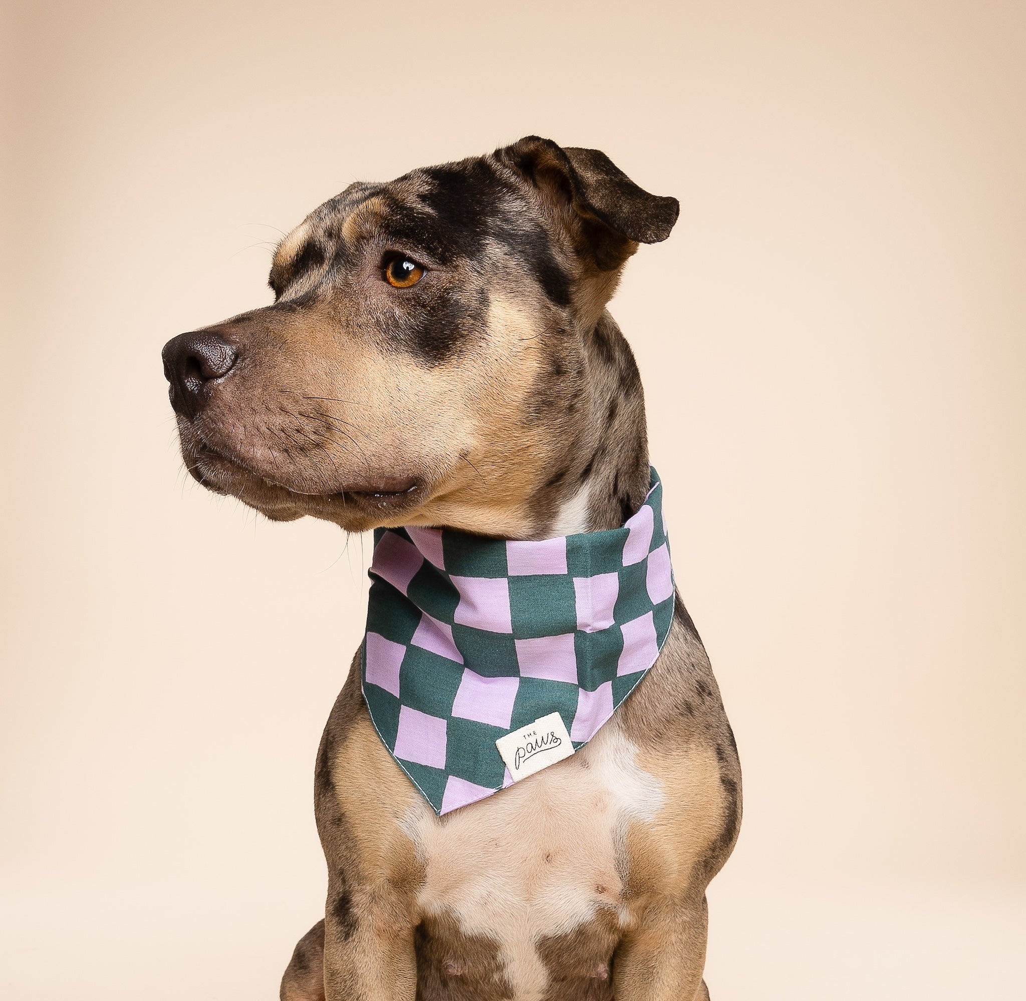 Brooklyn Dog Bandana