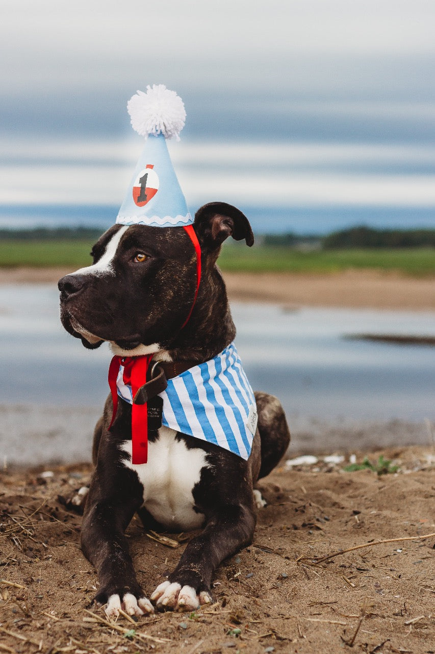 Cabana Blue Stripes Bandana - The Paws