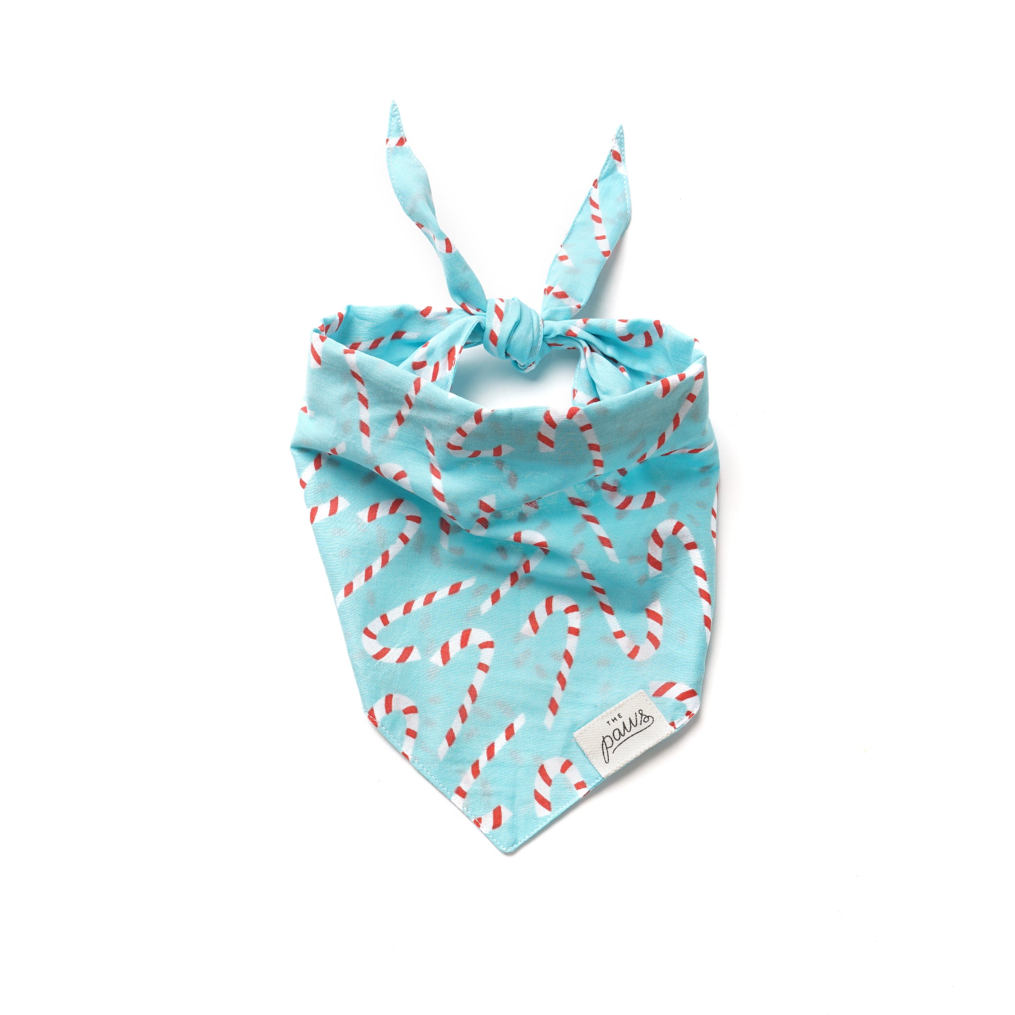 Candyland blue bandana from The Paws