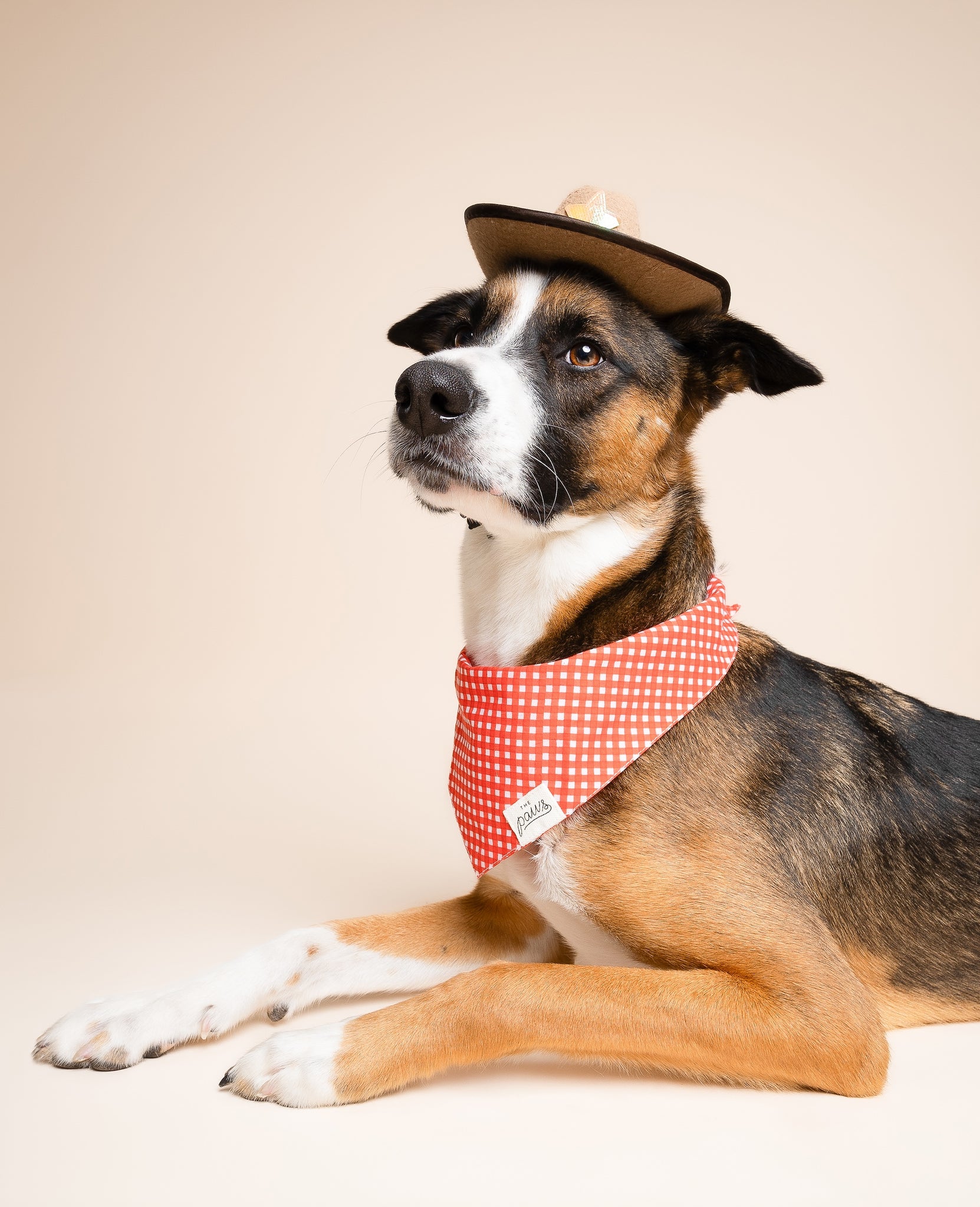 Red Gingham Dog Bandana from The Paws