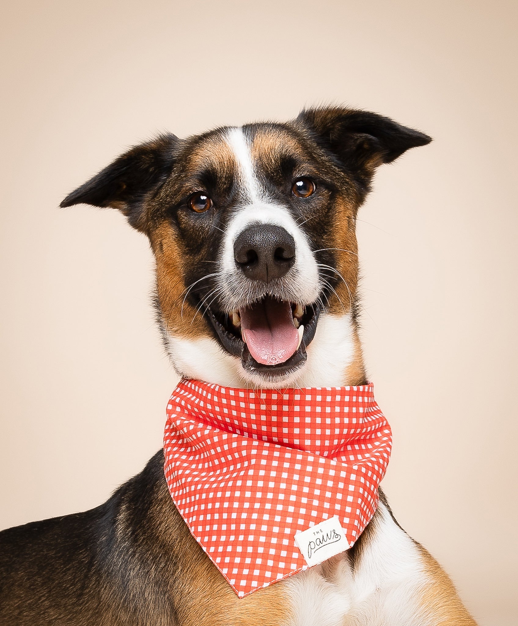 Red Gingham Dog Bandana staple design from The Paws