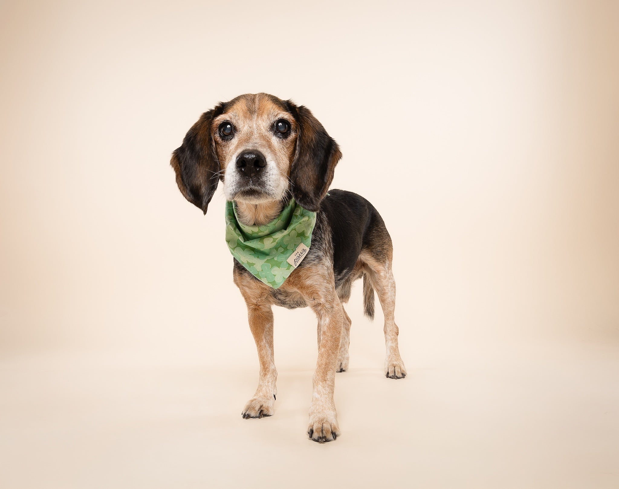 Clover Dog Bandana