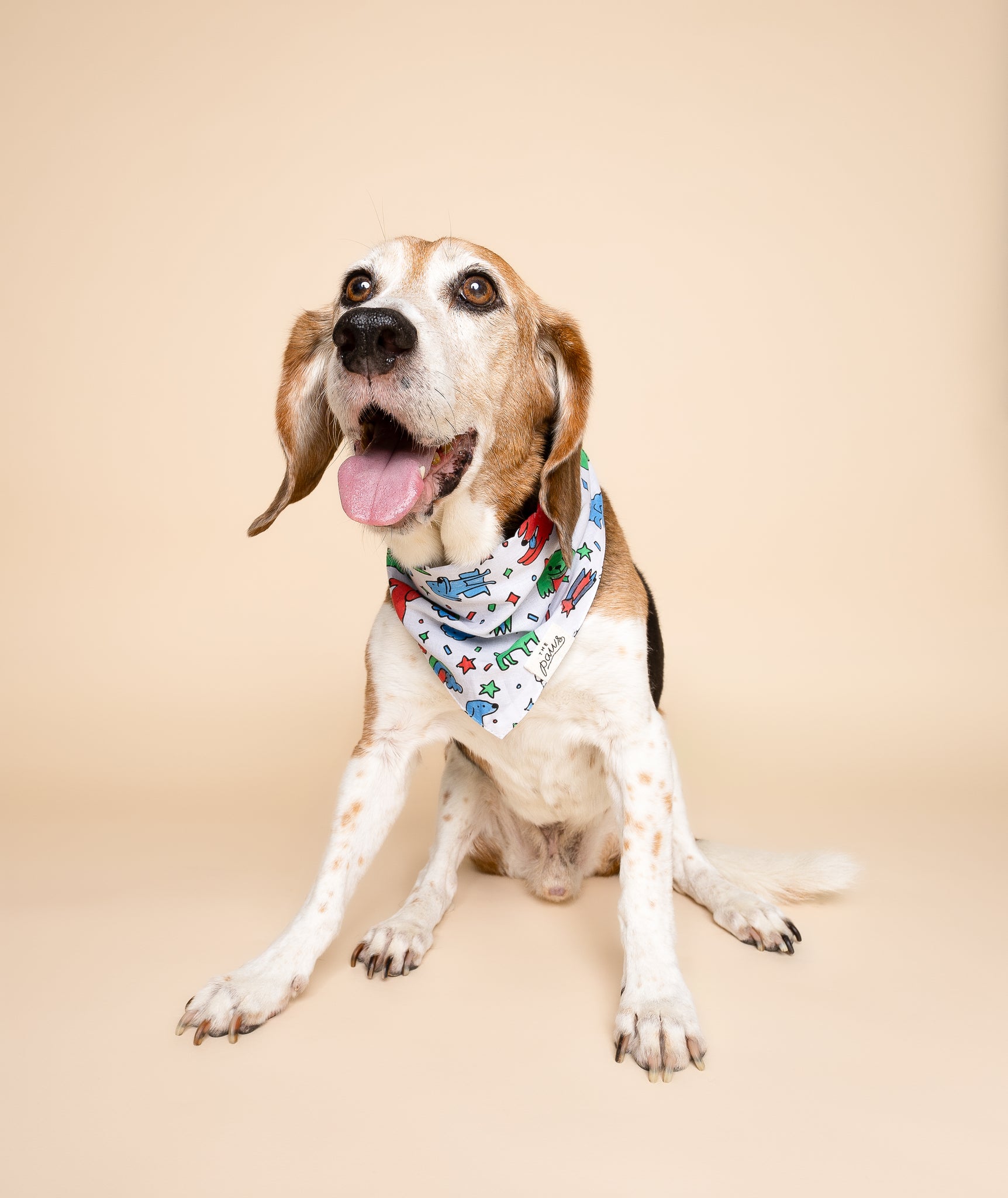 Coloring Dog Bandana