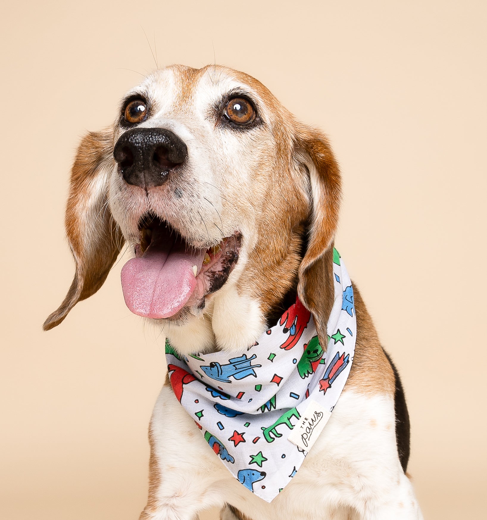 Coloring Dog Bandana