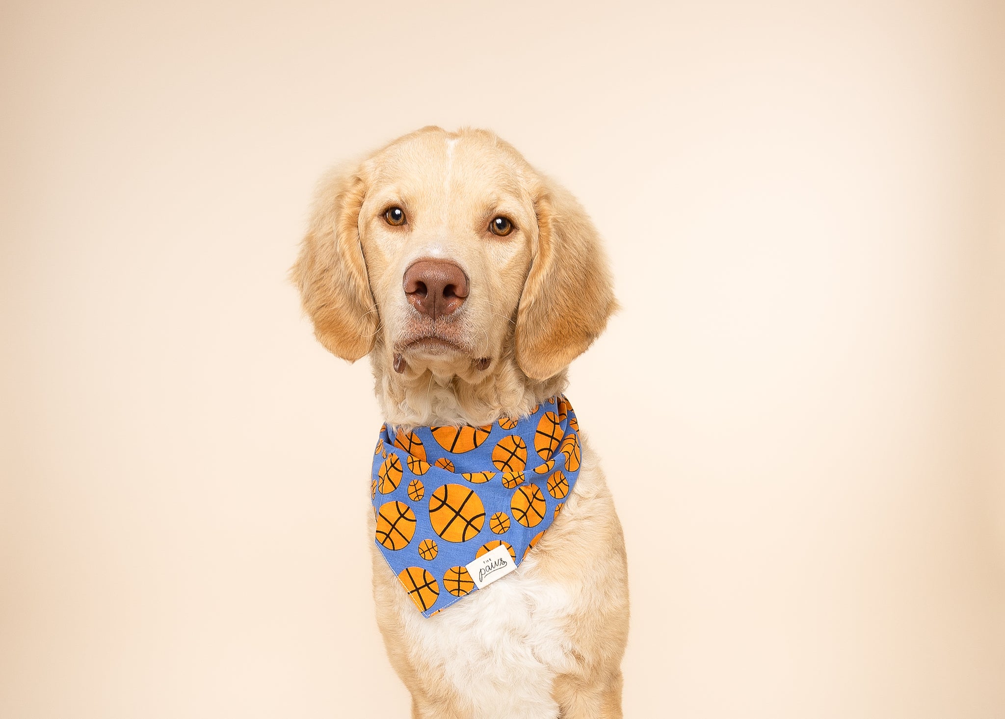 Dunk (Basketball) Dog Bandana