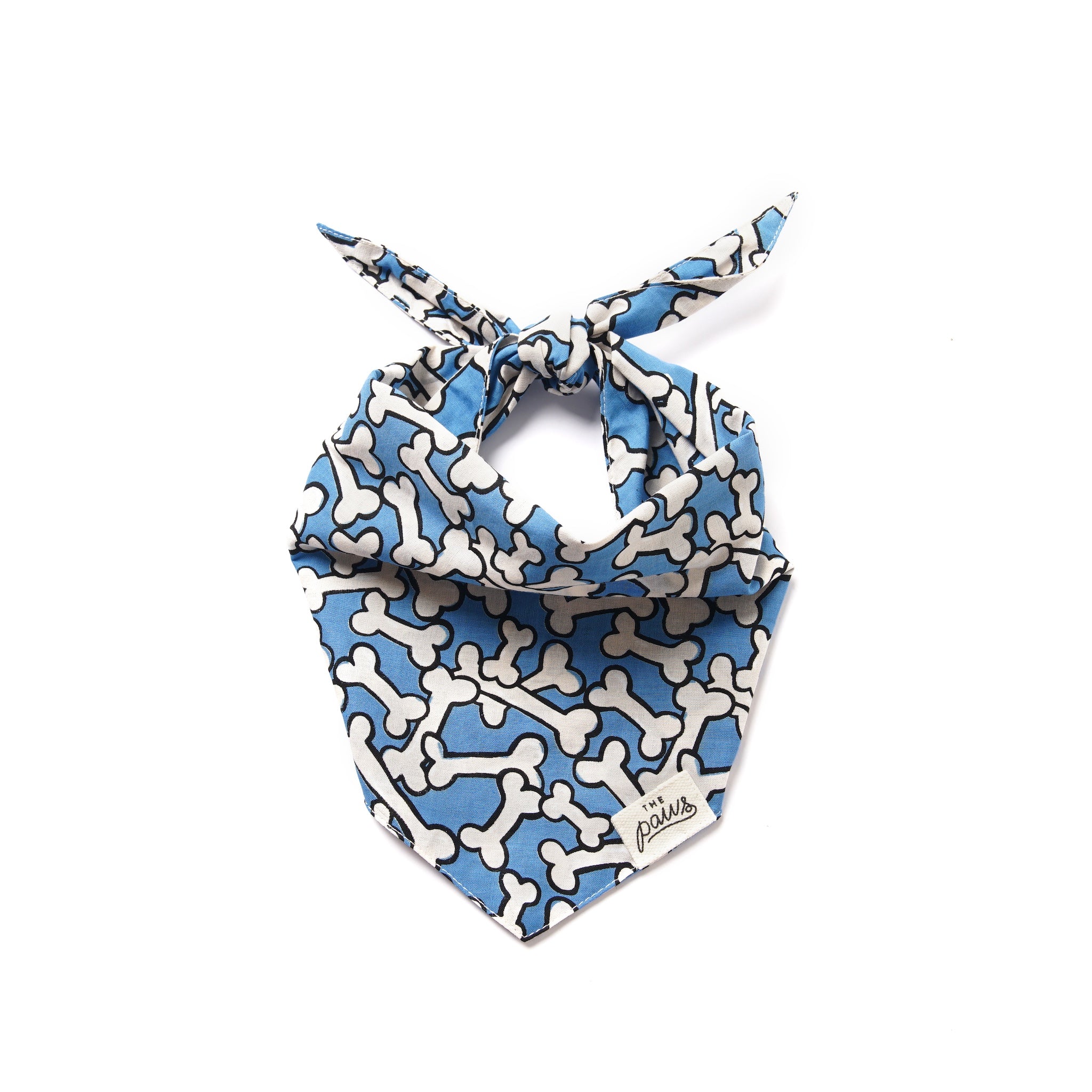 Blue bandana with bones