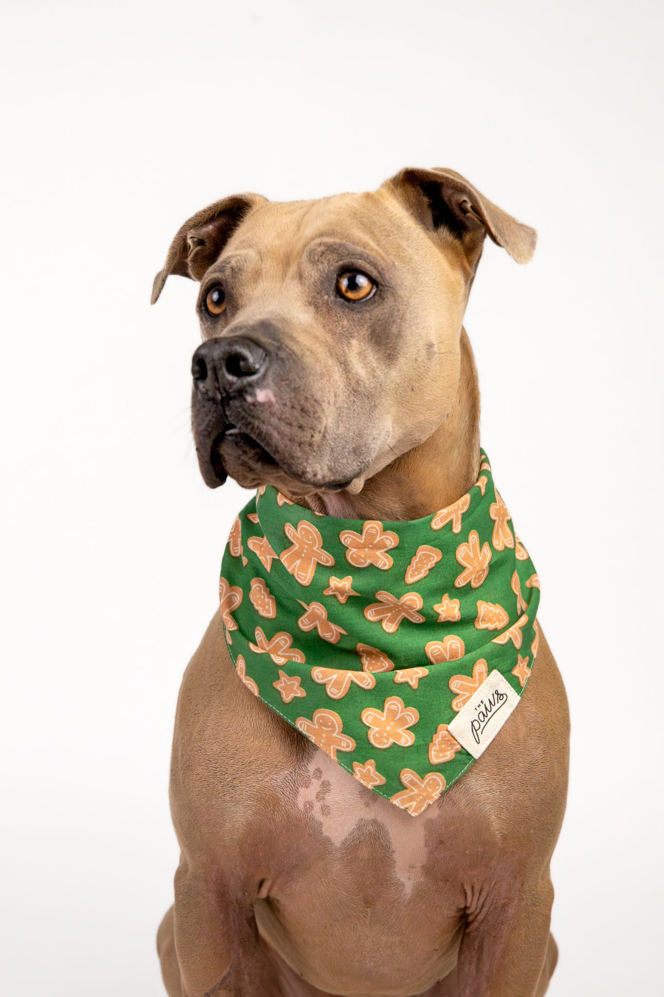 Frosting dog bandana from The Paws