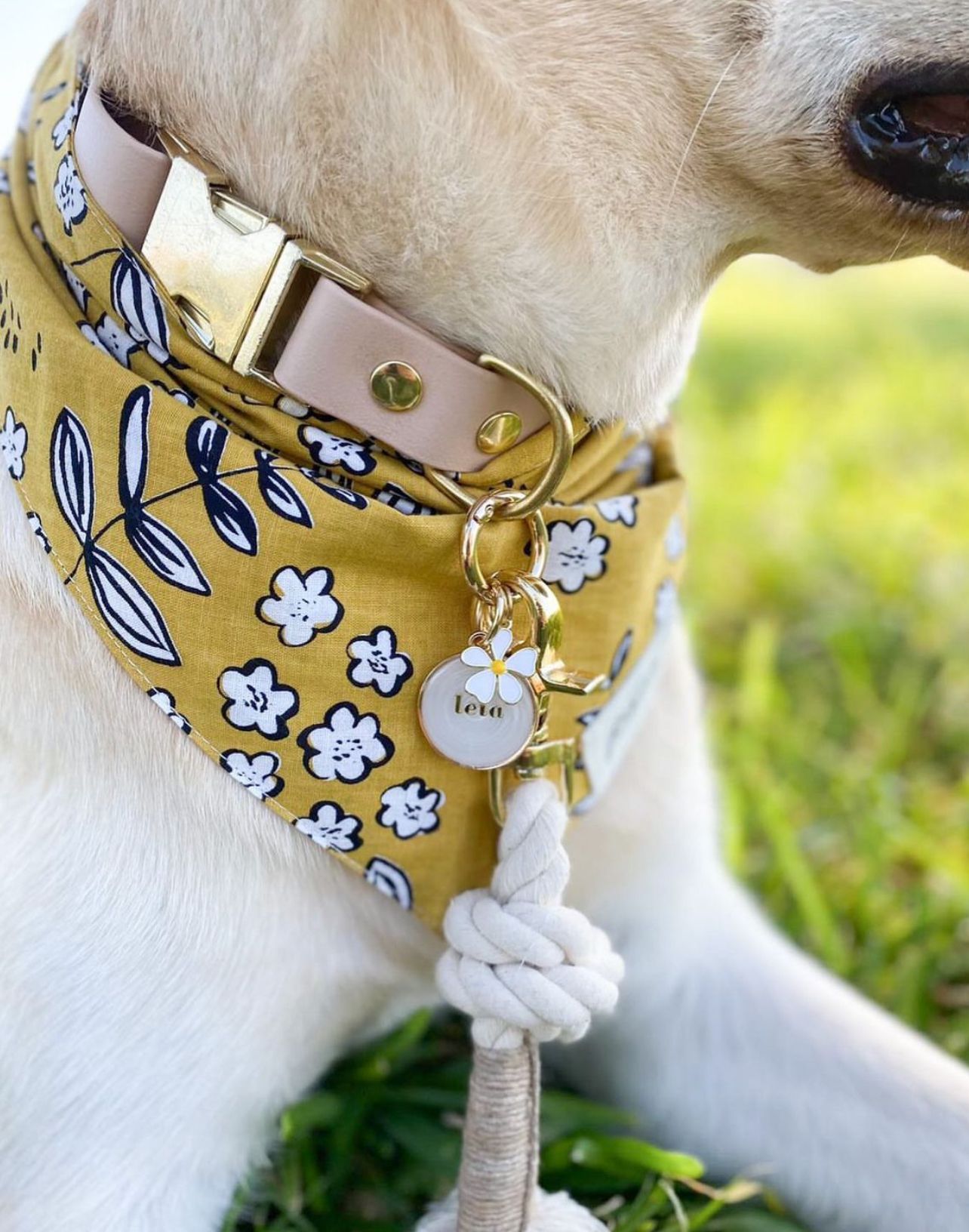 Close up image of Goldie bandana on a dog