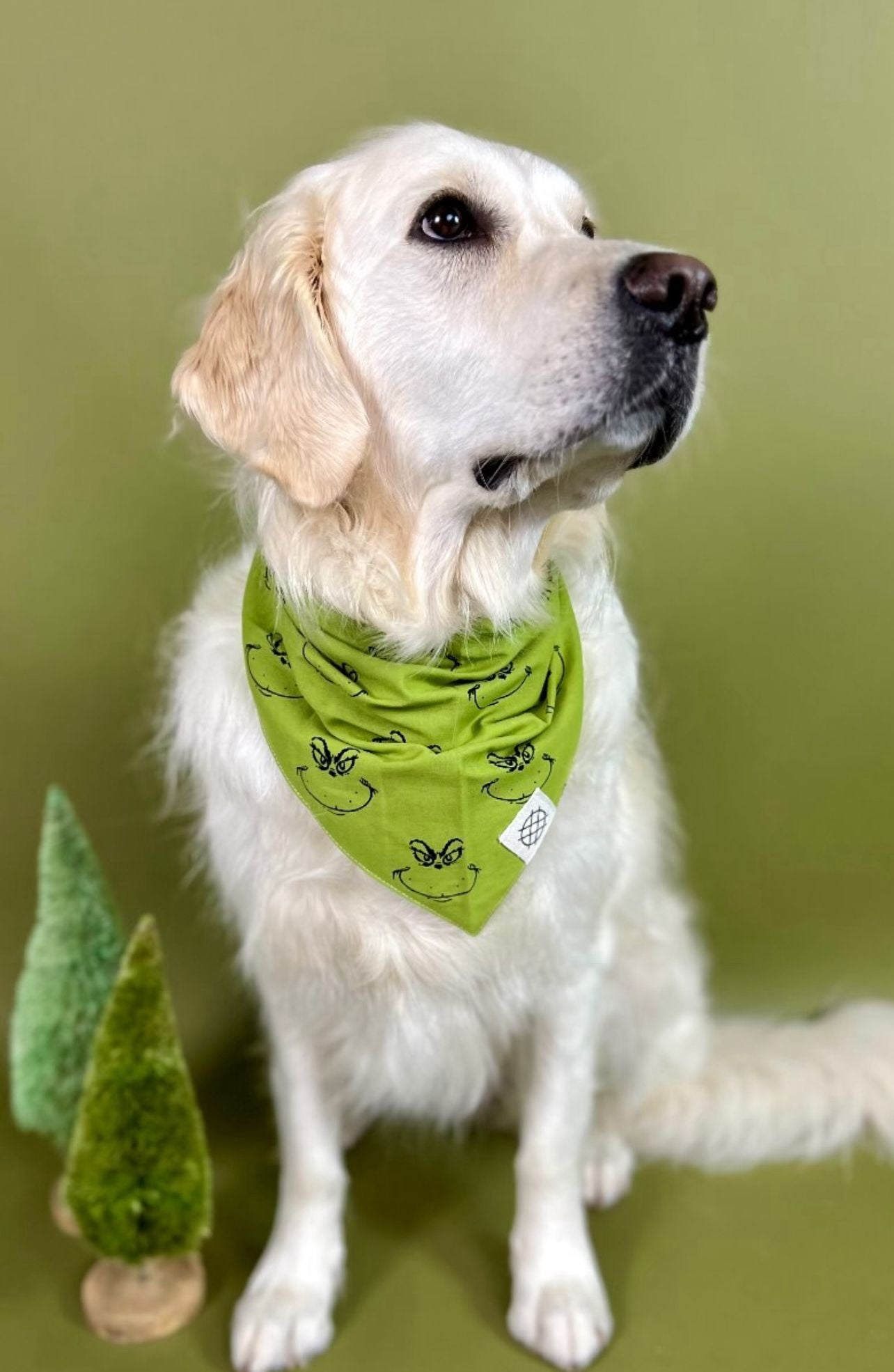 Grinch Dog Bandana - The Paws