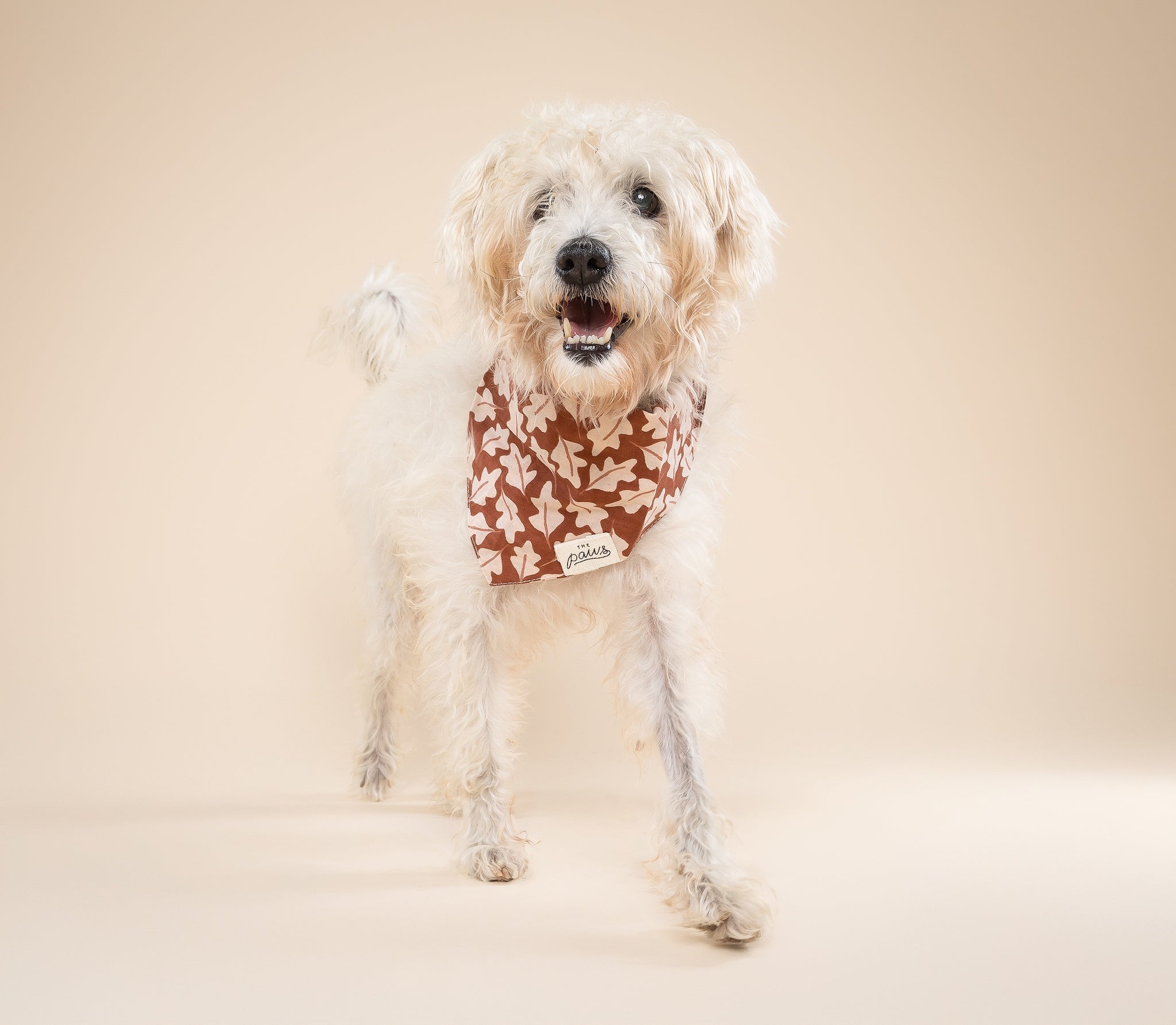 Hudson Dog Bandana