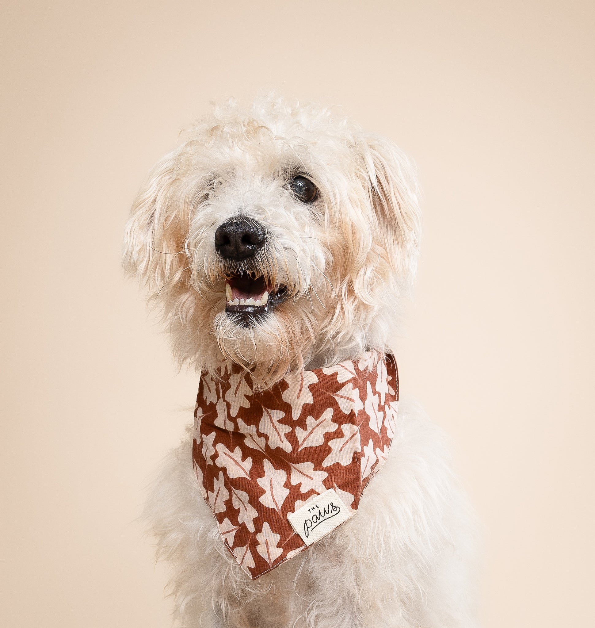 Hudson Dog Bandana