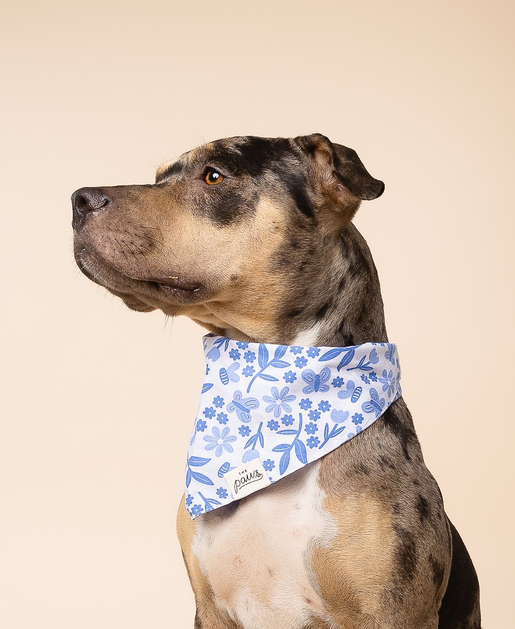 Jo Dog Bandana