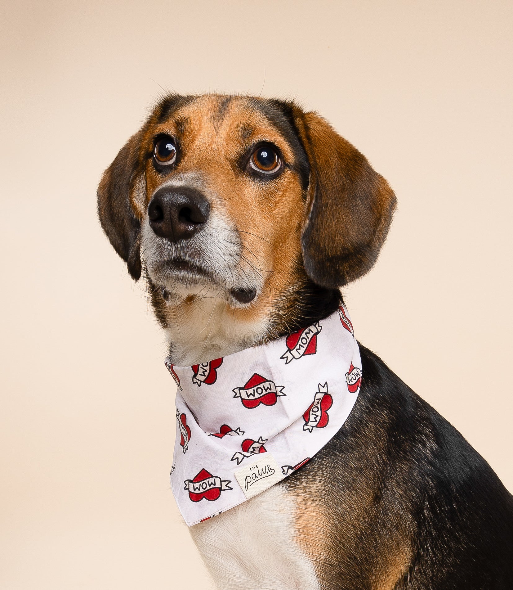 Love Mom Dog Bandana