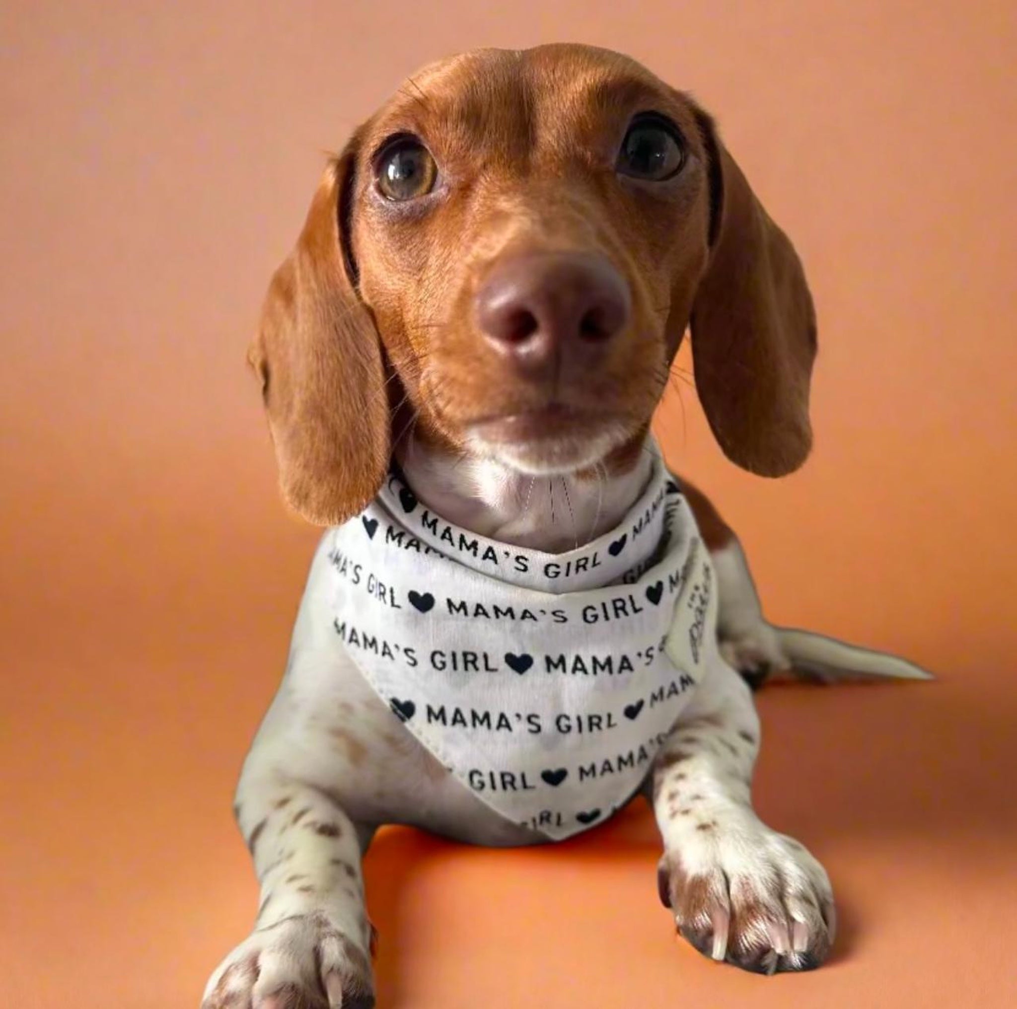 Mama's Girl Dog Bandana