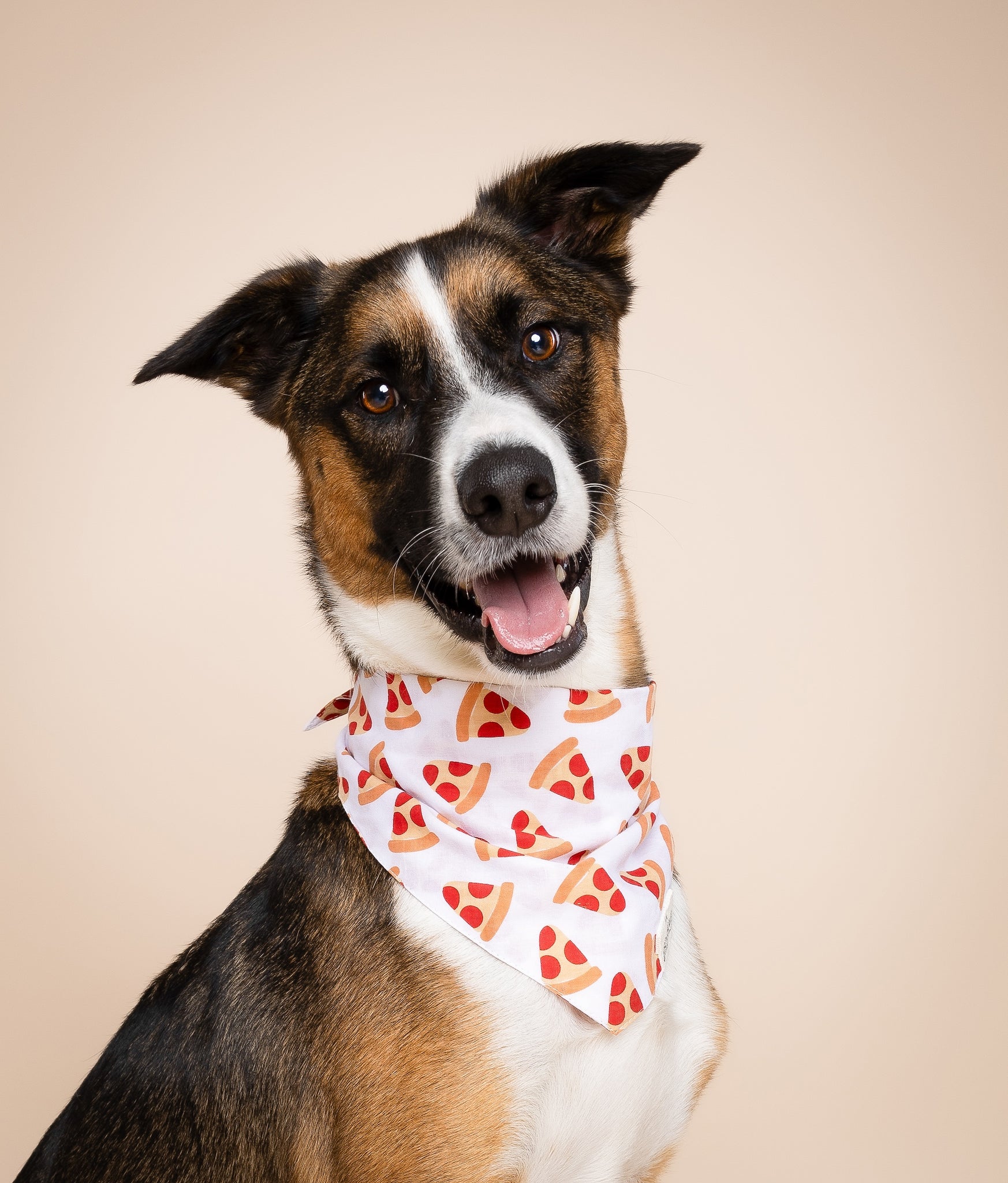 Pizza Dog Bandana - from The Paws