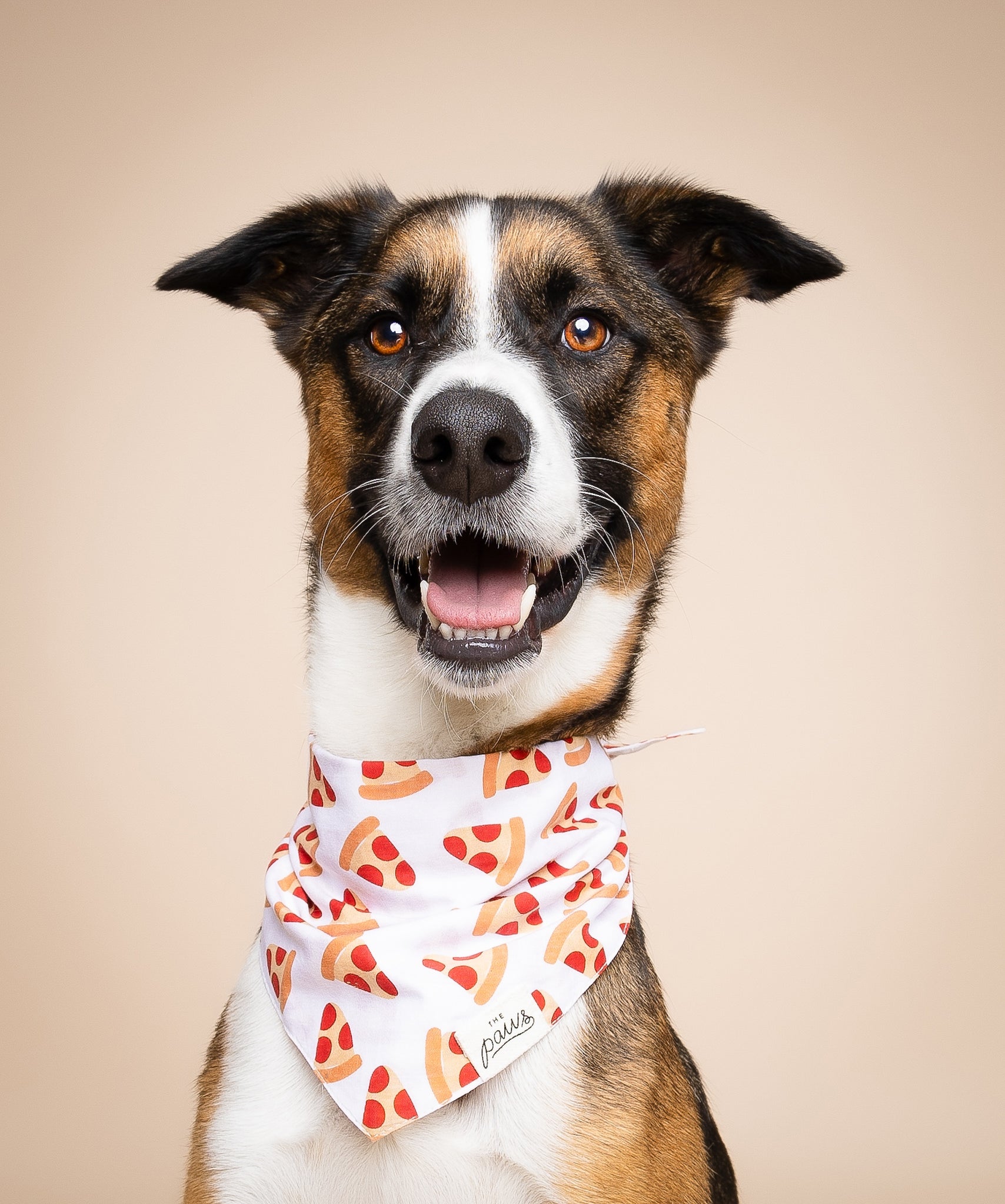 Pizza Dog Bandana from The Paws