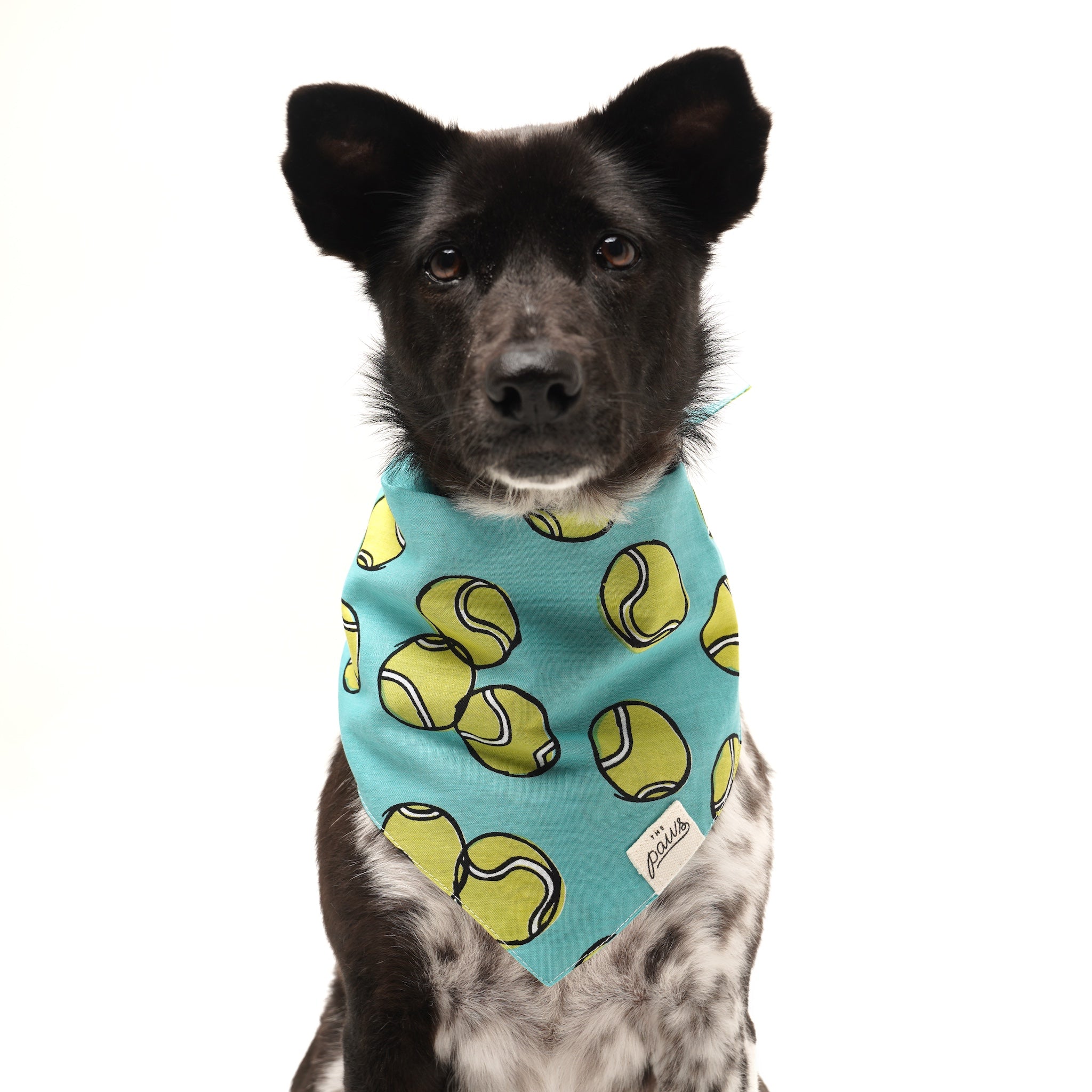 Fetch Dog Bandana