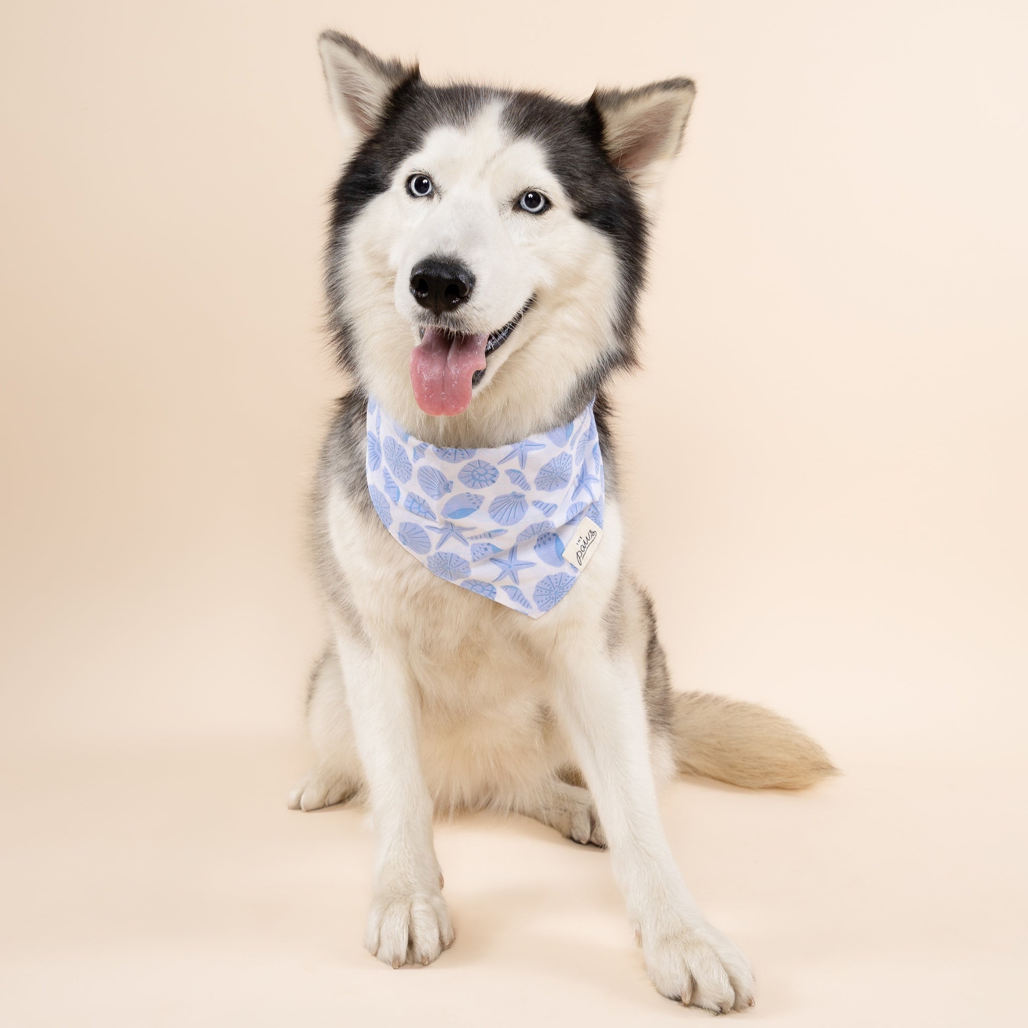 Seaside Dog Bandana