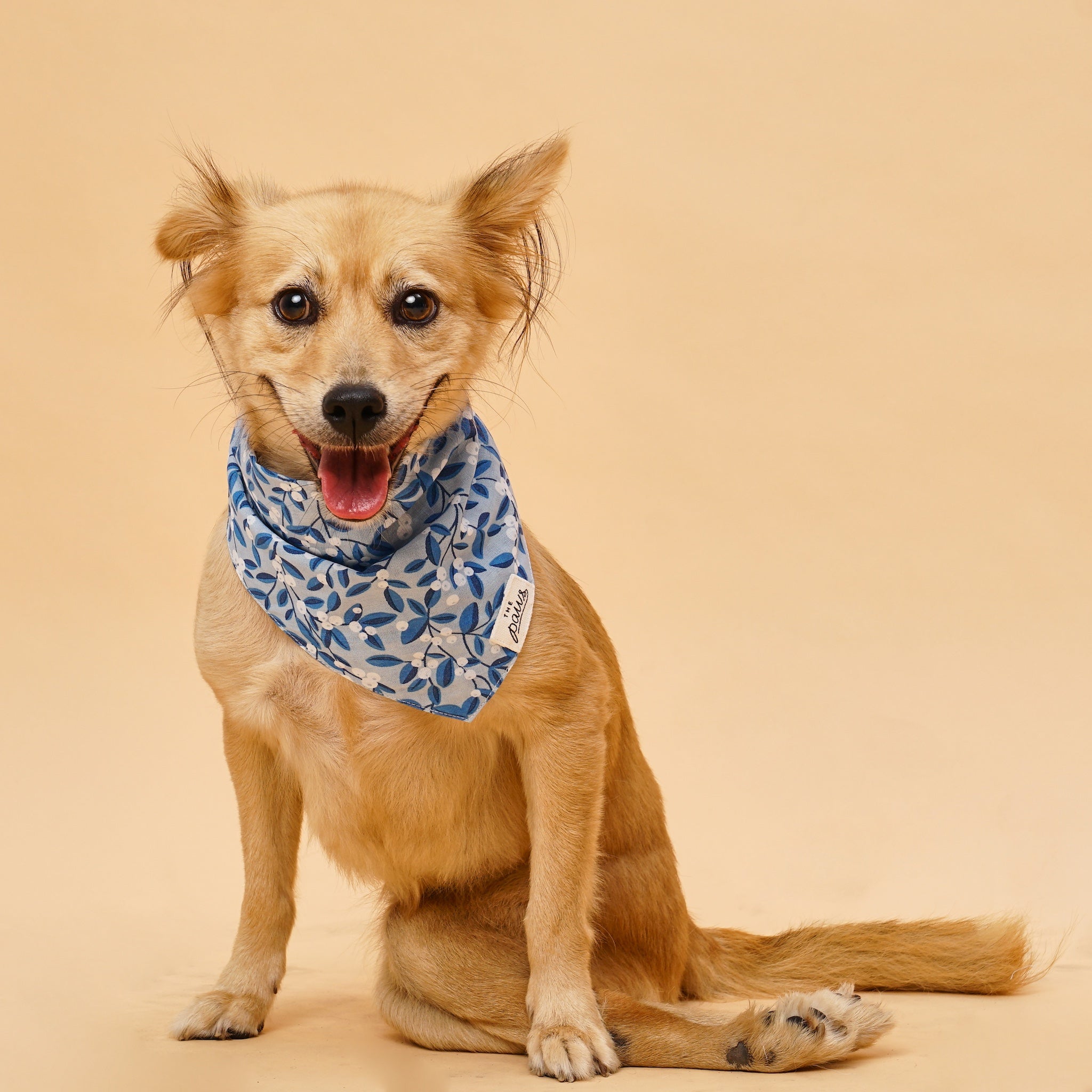 Blue Berry Dog Bandana from The Paws