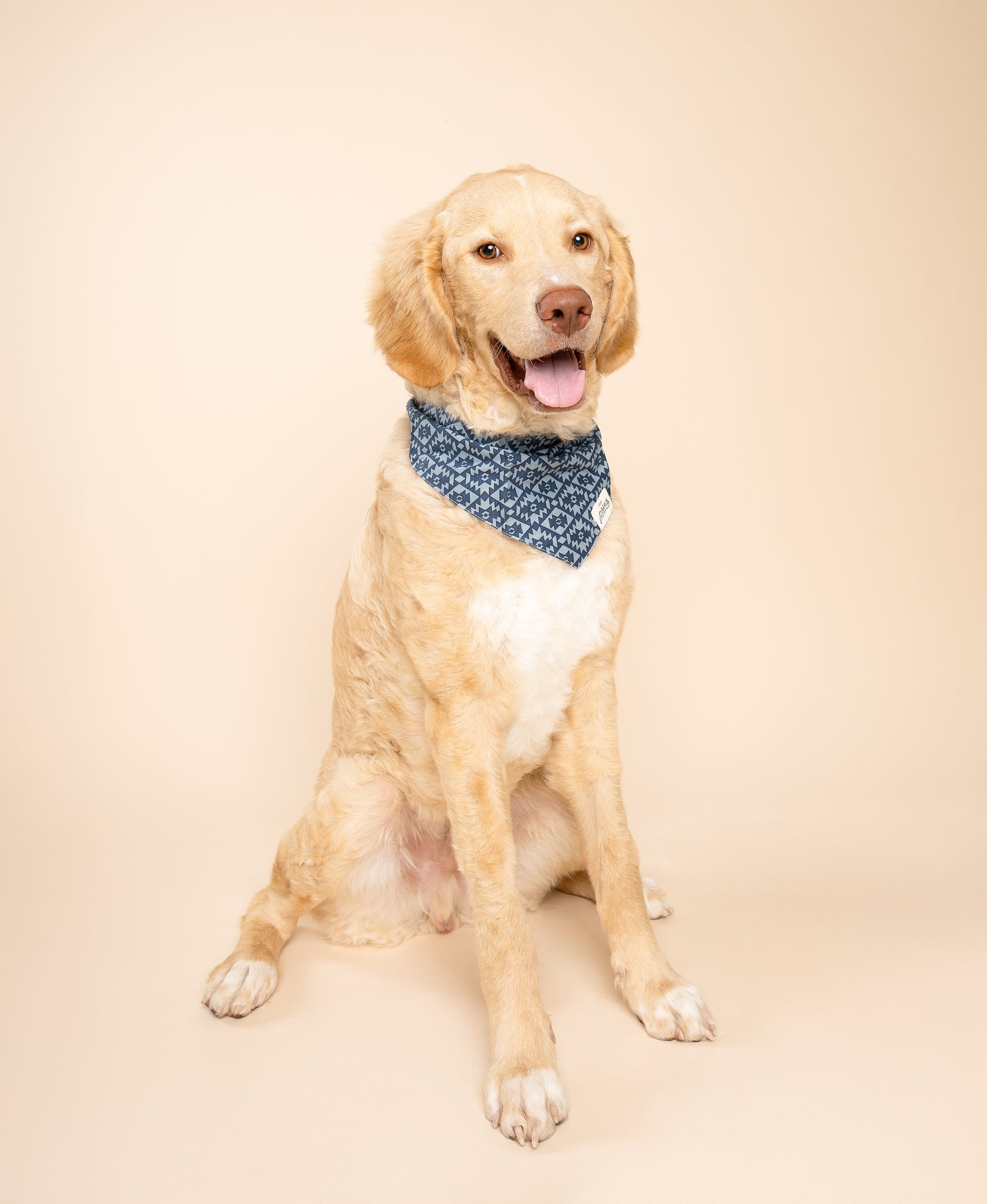 Summit Dog Bandana