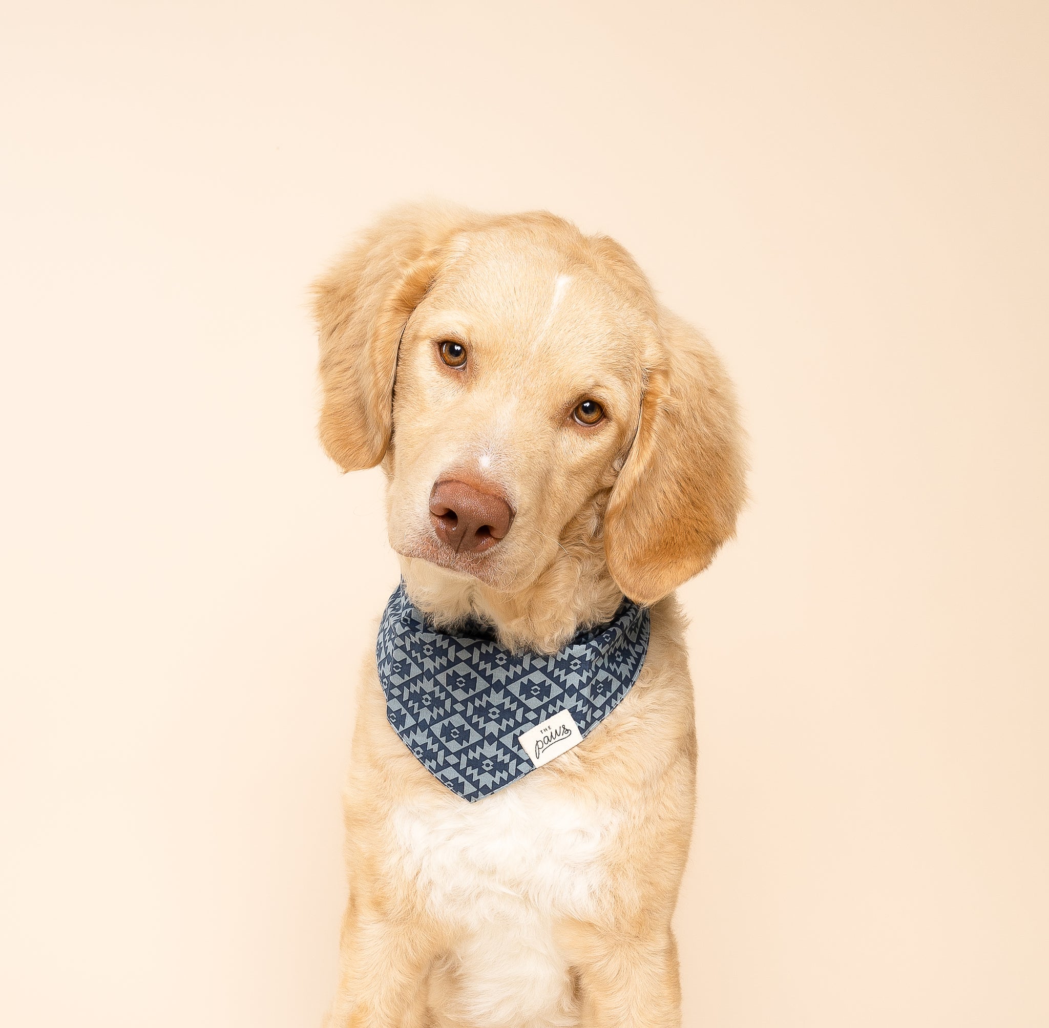 Summit Dog Bandana