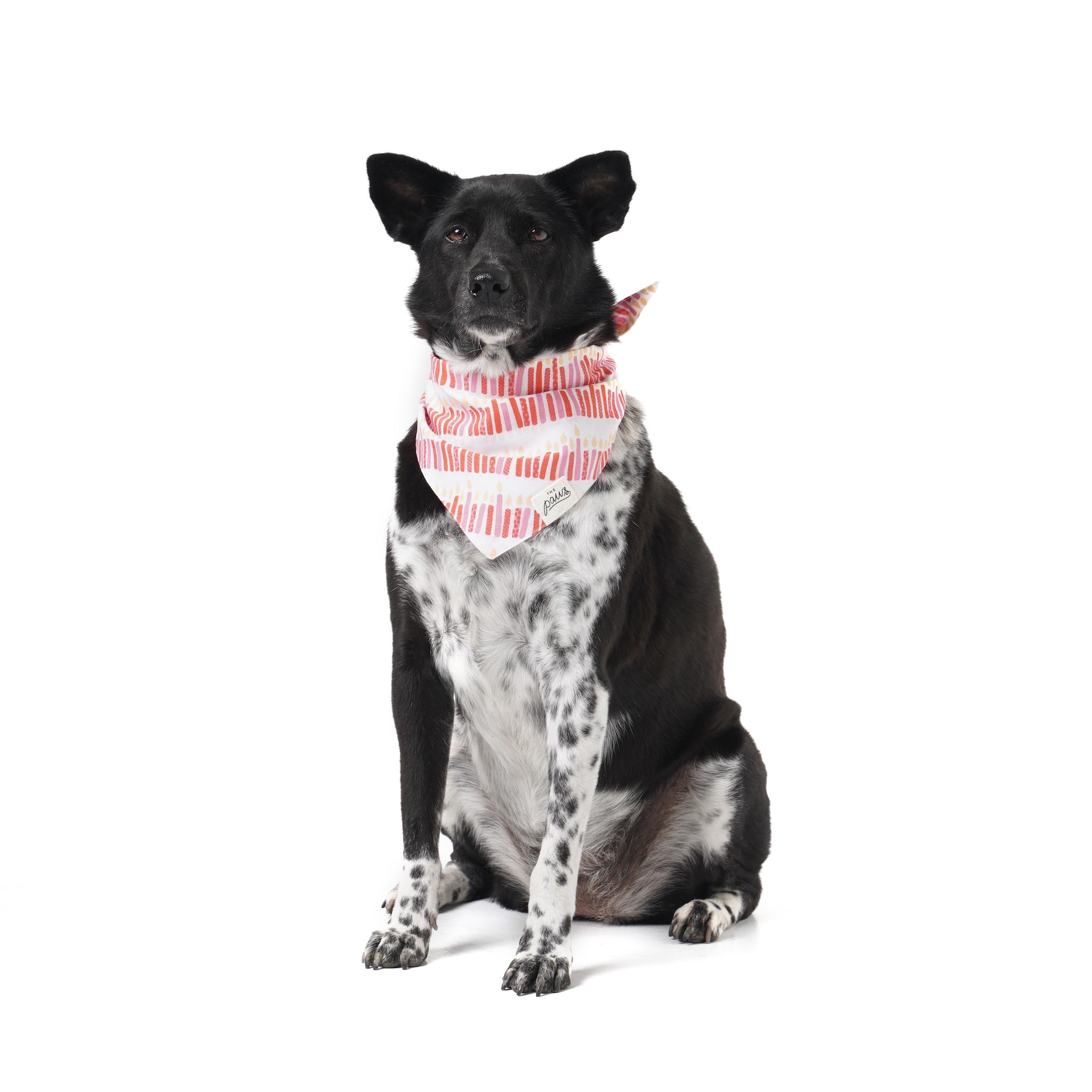 Wish Pink Dog Bandana