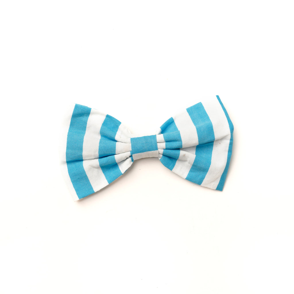 Bow Ties – The Paws